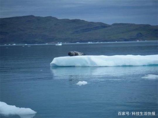 格陵兰的冰融化速度比我们想象的要快得多这是一个大问题  格陵兰岛的冰融化速度