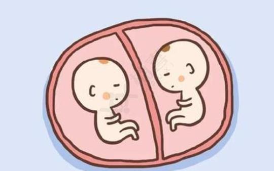 通过基因检测在怀孕期间鉴定出的半同卵双胞胎  从未听说过另一