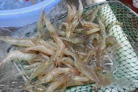 太湖三白是指中国太湖的三种河鲜类特产：白鱼、白虾和____。