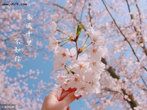 樱花唯美日语句子 一些樱花的日语美文
