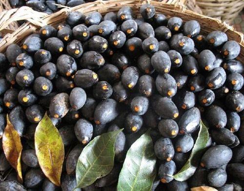 黑橄榄的功效与作用及禁忌什么人不能吃 甜橄榄的功效与作用