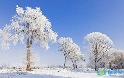 关于形容冬天景色美的诗句合集(优选) 关于形容冬天的词语