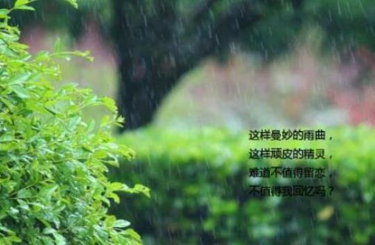 关于形容6月杭州雨天优美句子大全 怎么形容杭州的美景