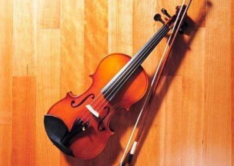 小提琴有几根弦组成  小提琴有几根弦组成的
