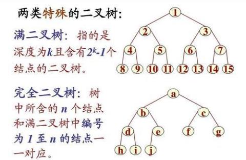 [单选] 深度为6的满二叉树中，度为2的结点个数为（　　）。