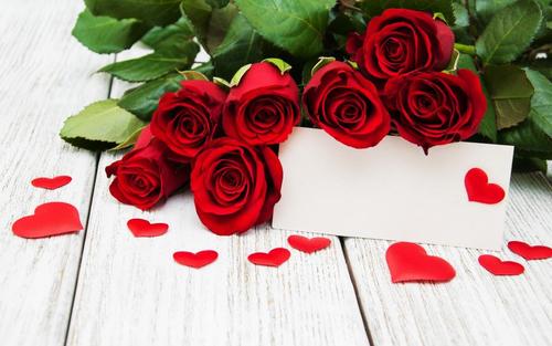 关于玫瑰浪漫得句子说说心情大全 关于玫瑰浪漫的形容