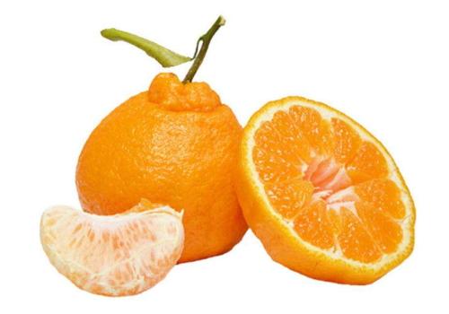 关于丑橘诗句合集(精选) 描写丑橘的诗句有哪些