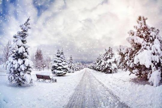 关于下雪时的雪景优美句子大全 关于下雪雪景的诗句