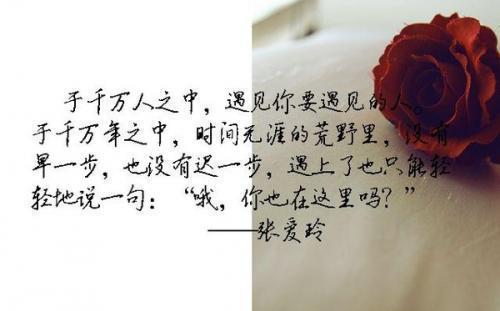 关于张爱玲描写胸部的优美句子大全 张爱玲对上海的描写