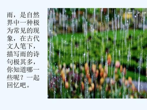 关于赏析雨的四季的优美句子大全