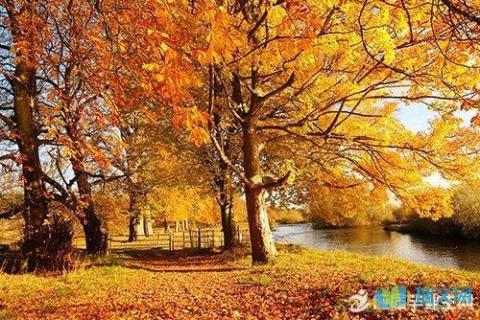 关于形容秋天郊游的唯美句子大全 关于形容秋天的诗句