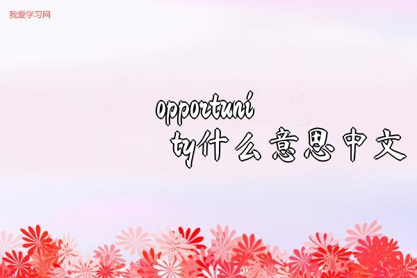 opportunity什么意思中文